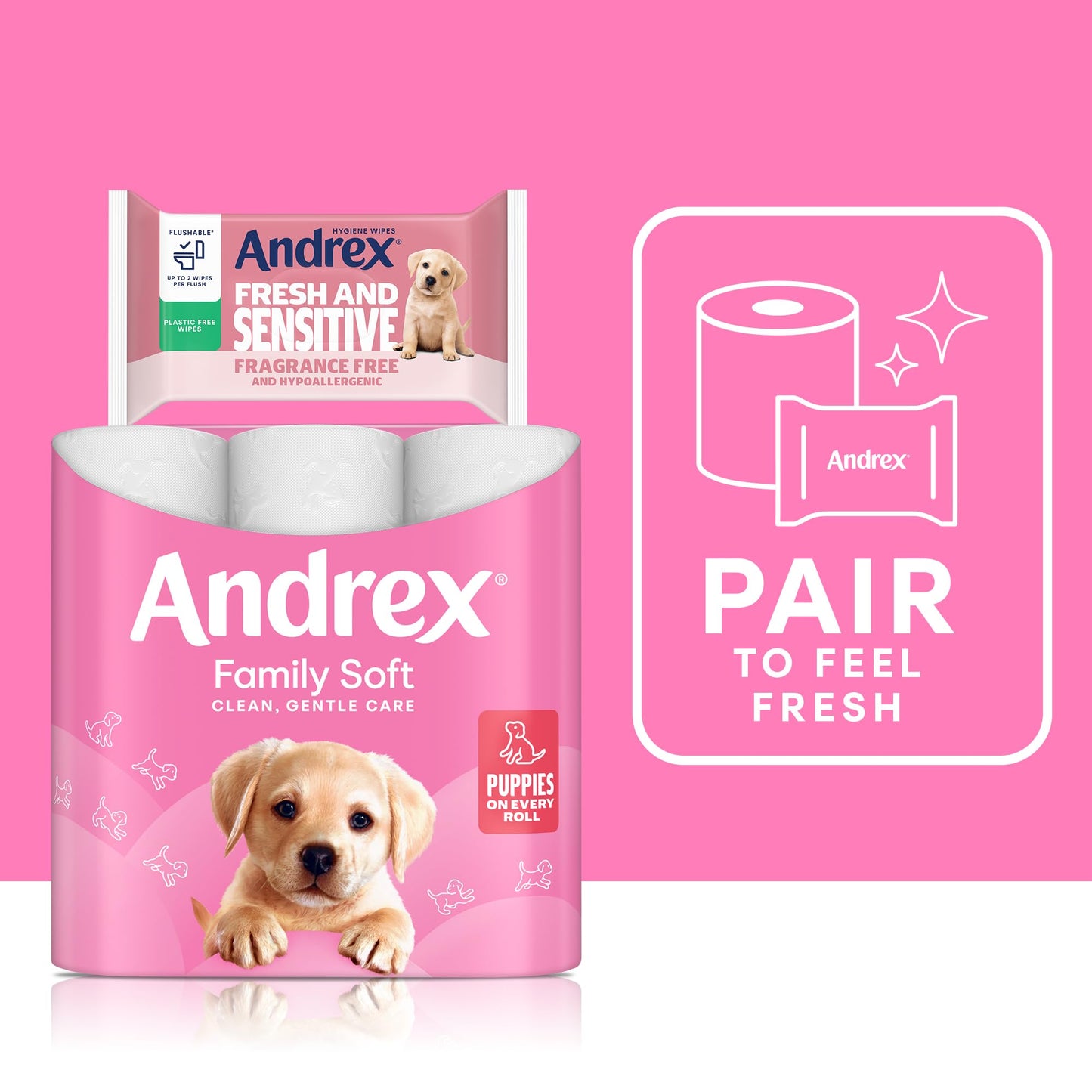Andrex Fresh and Sensitive Hygiene Wipes, 12 Pack; Flushable Moist Toilet Tissue, Hypoallergenic and Fragrance Free Wet Wipes for Sensitive Skin (Pack of 12), FSC Certified